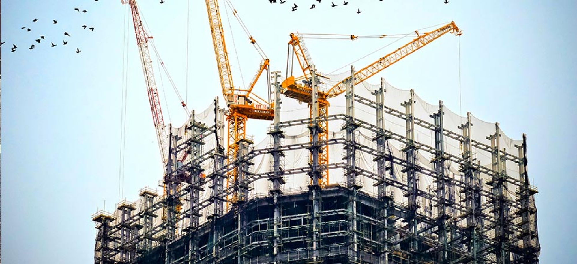 Seguro de Ingeniería